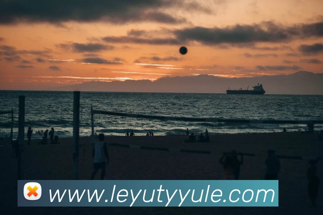 乐鱼体育发展历程