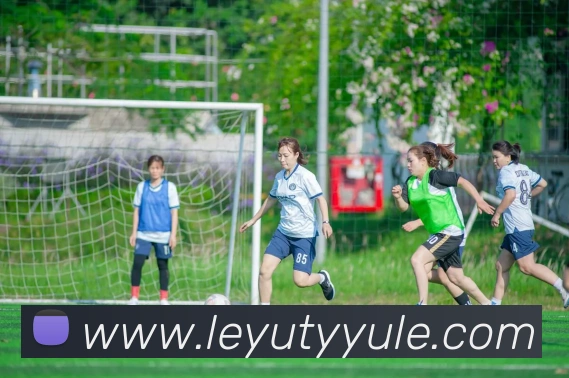 App Interface Preview